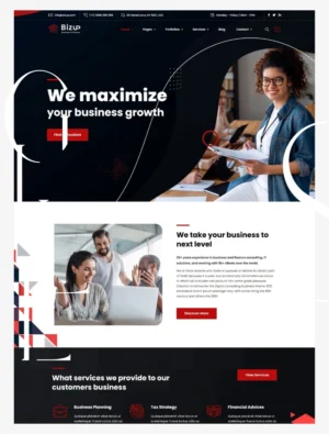 Bizup - Business Consulting