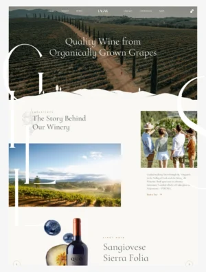 Lagar - Winery Wine Shop